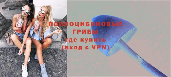 ALPHA PVP Алексин