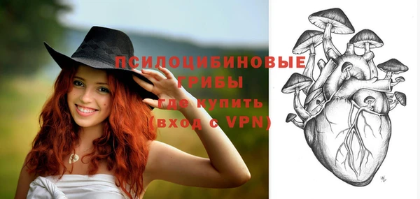 не бодяженный Алзамай