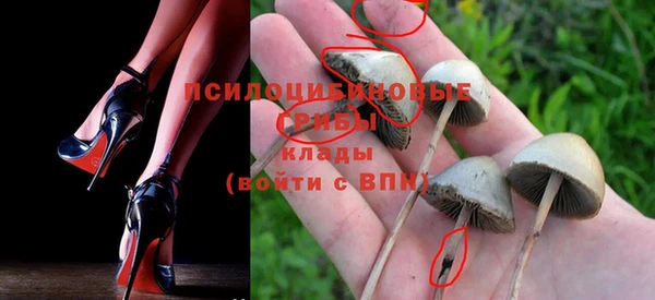ALPHA PVP Алексин