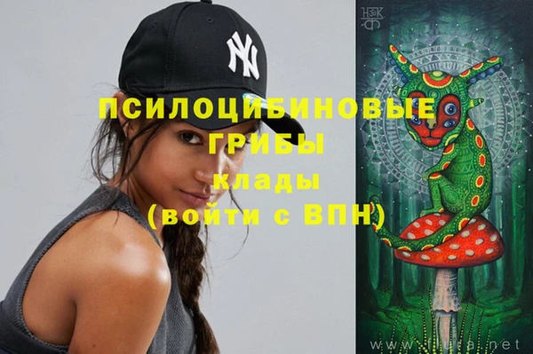 не бодяженный Алзамай