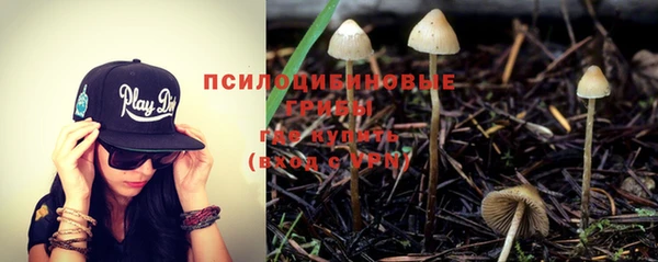 метадон Алексеевка