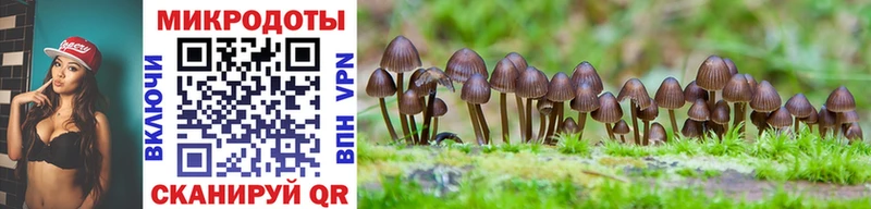 Псилоцибиновые грибы Cubensis  наркотики  Новокубанск 